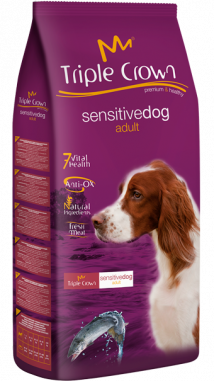 Sensitive Dog