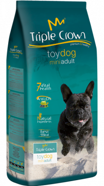 Toy dog