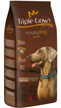 Housy Dog